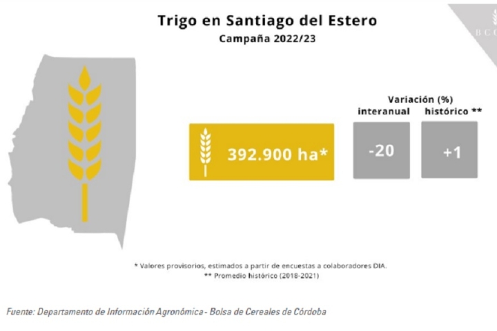 Santiago del Estero: Primera intención de siembra de cultivos invernales