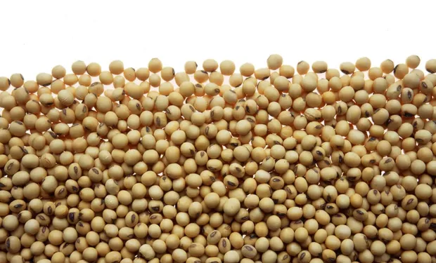 Fuertes subas para soja, trigo y maíz: los datos que impulsaron al mercado de granos